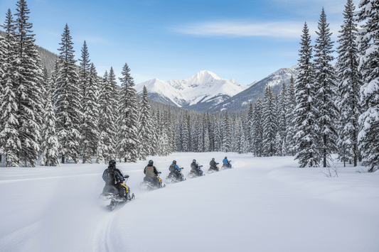 Aspen Snowmobiling: Winter Guide - Aspen Moments